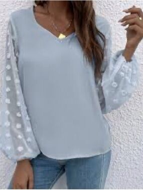 SHEIN Pale Blue V-Neck Blouse with Swiss Dot Balloon Sleeves